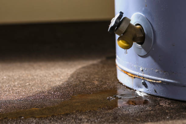  St Elmo, IL Water damage restoration Pros