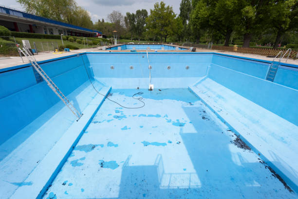 Best Water damage restoration near me  in St Elmo, IL
