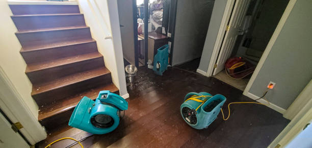 Best Water damage mitigation services  in St Elmo, IL
