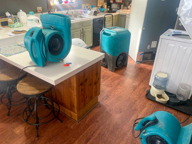 Best Water damage restoration mold remediation  in St Elmo, IL