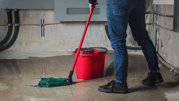 Best Water damage restoration experts  in St Elmo, IL