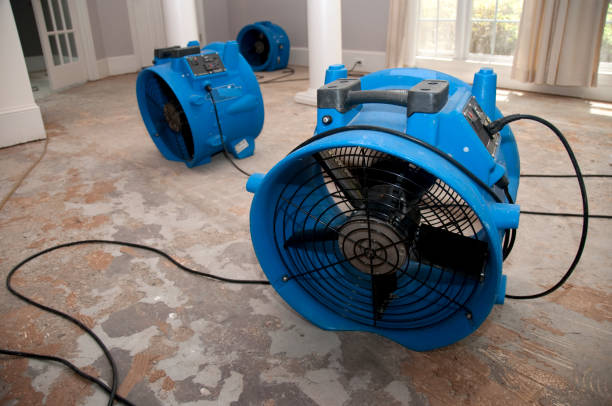 Best Sewage cleanup and water damage restoration  in St Elmo, IL