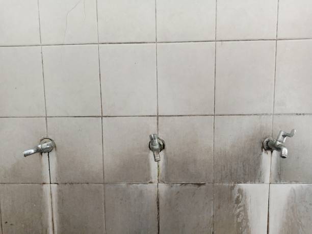 Best Basement water damage restoration  in St Elmo, IL