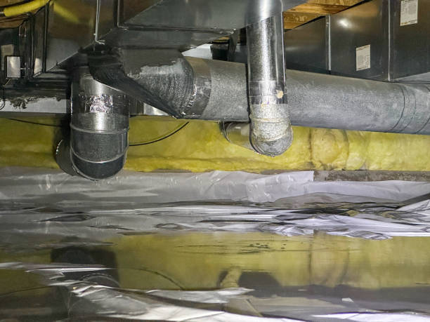 Best Carpet water damage restoration  in St Elmo, IL