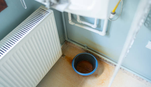 Best Commercial water damage restoration  in St Elmo, IL