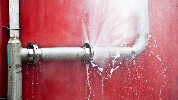 Best Water damage cleanup near me  in St Elmo, IL